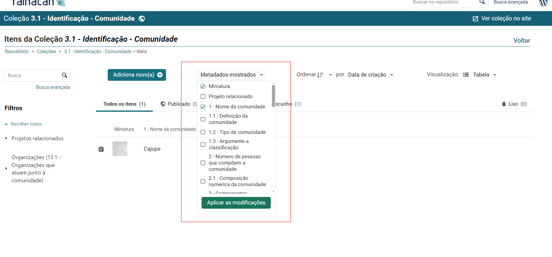valores-de-metadados-exibidos.png